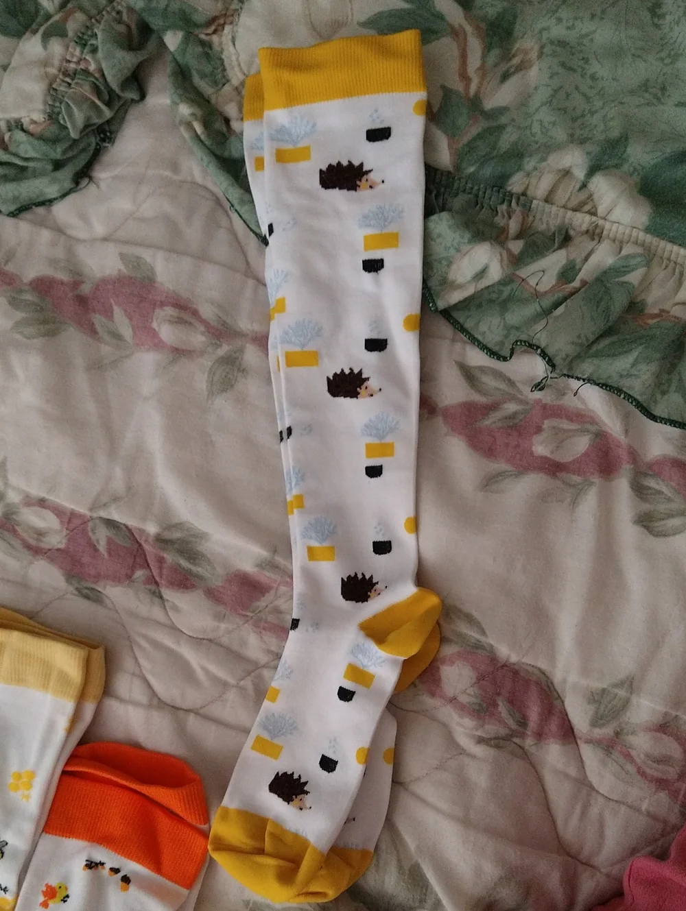 Women's Novelty Knee-High Socks - Yellow & Teal Assortment, 4 Pairs